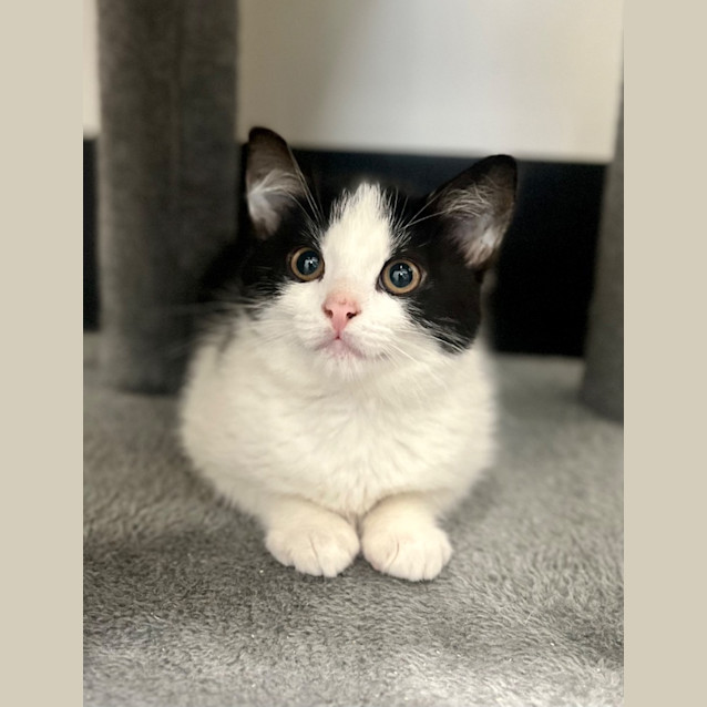 Photo of Polly