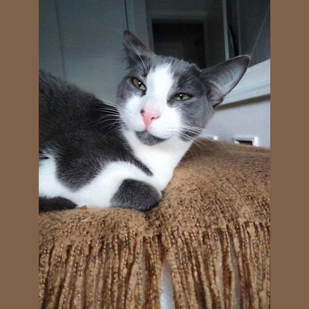 Photo of Jake   Located In Eltham North