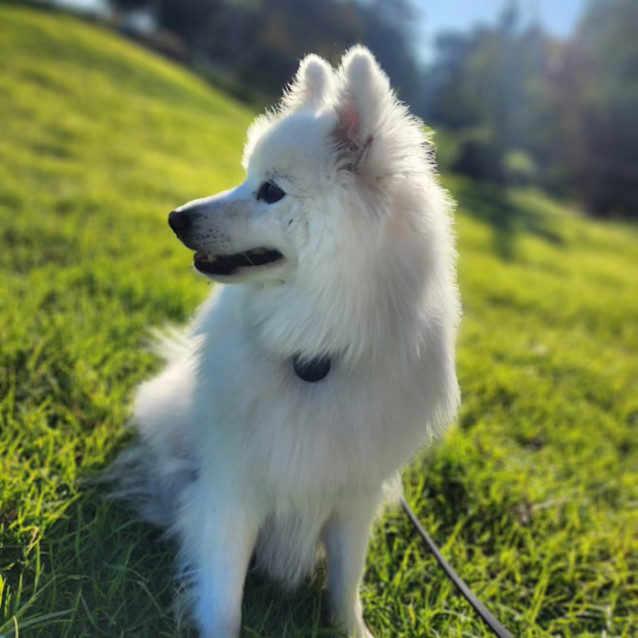 Photo of Aaru