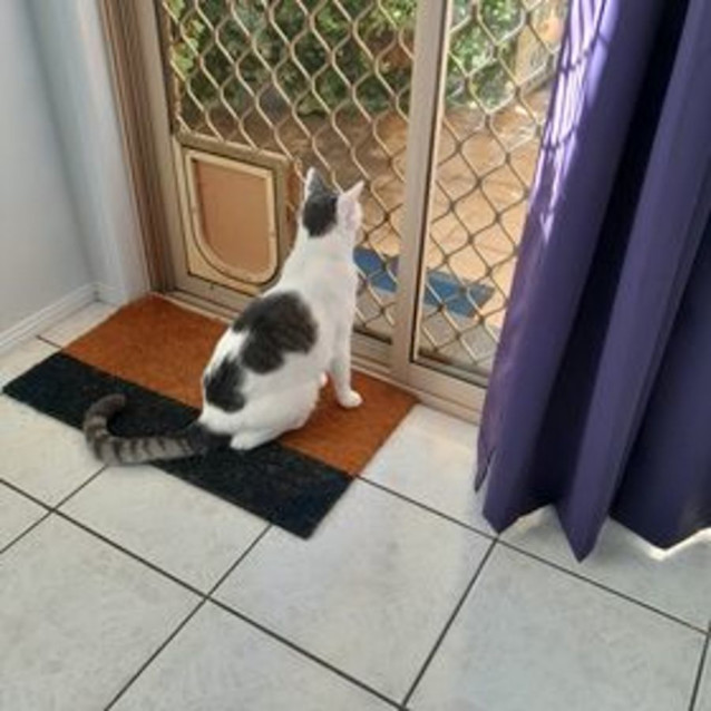 Photo of Chilco
