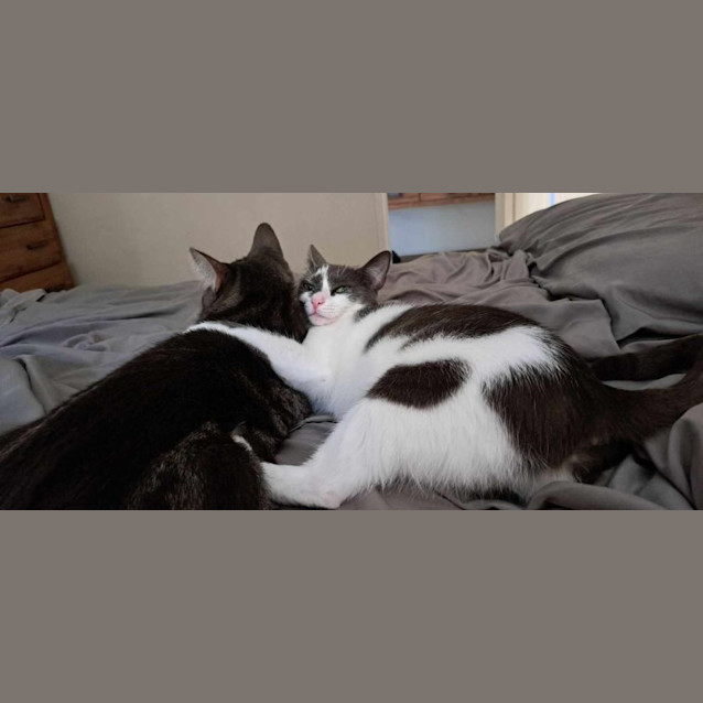 Photo of Duchess And Pearl