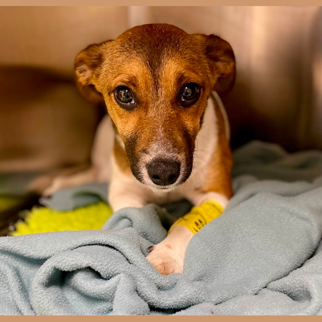 Photo of Sprout