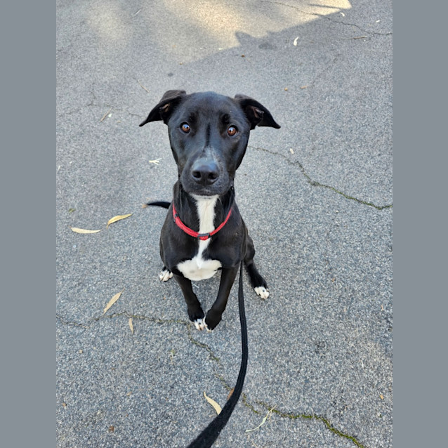 Photo of Kylo