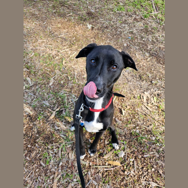 Photo of Kylo
