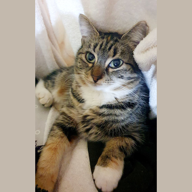 Photo of Claire Bear