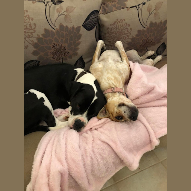 Photo of Lexi And George 