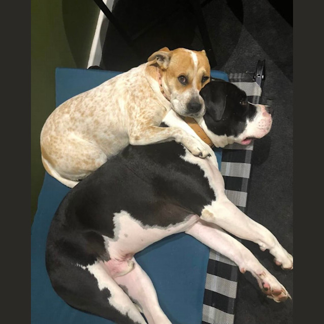 Photo of Lexi And George 