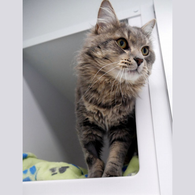 Photo of Chester Sta012787