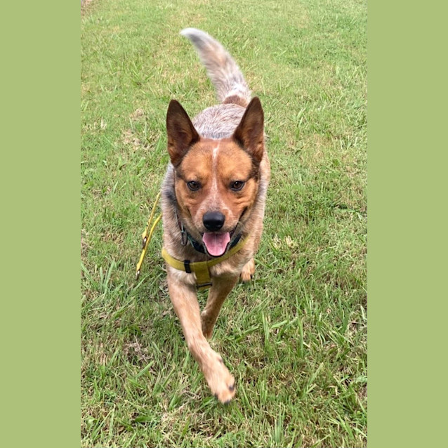 Photo of Bingo