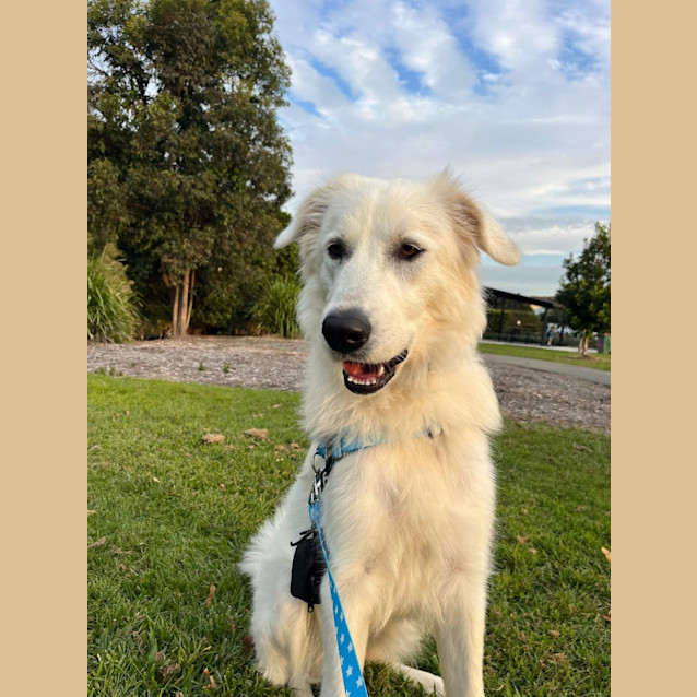 Photo of Sunnie