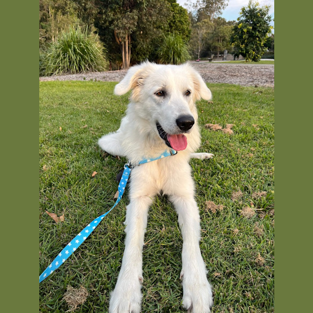 Photo of Sunnie