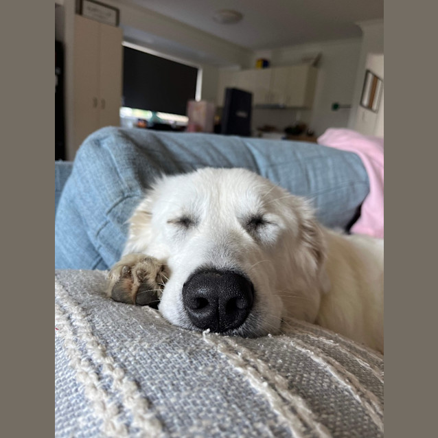 Photo of Sunnie