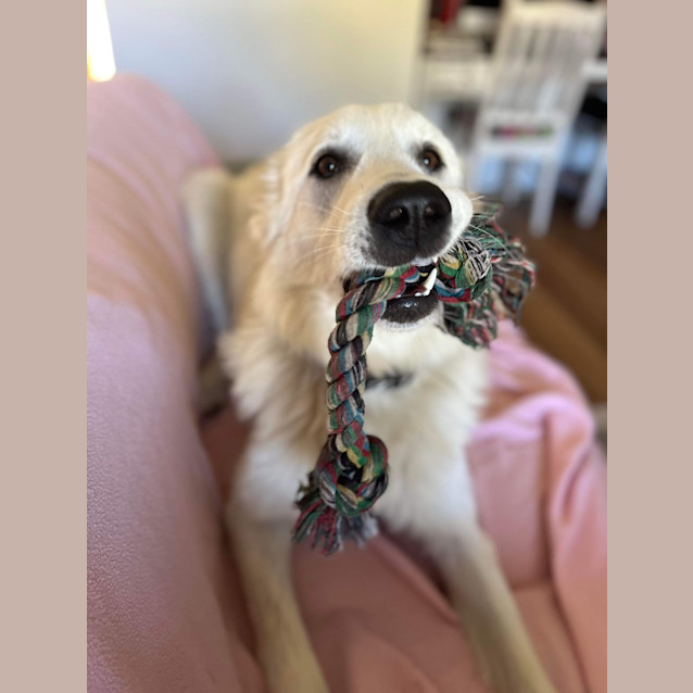 Photo of Sunnie