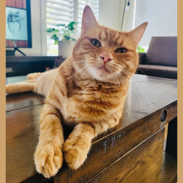 Photo of Susie