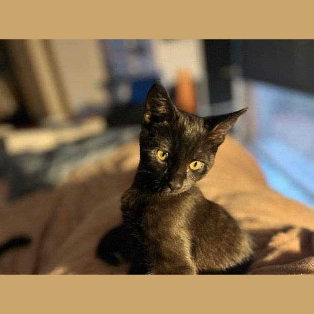 Photo of Maisie