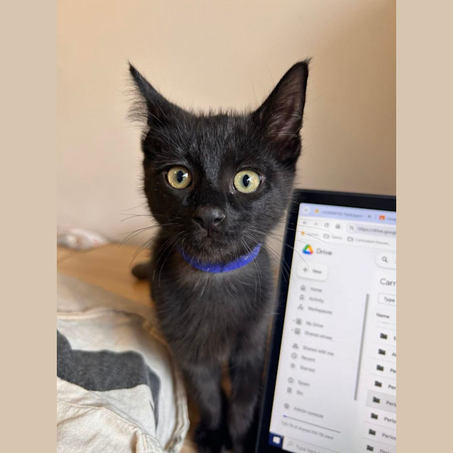 Photo of Monty