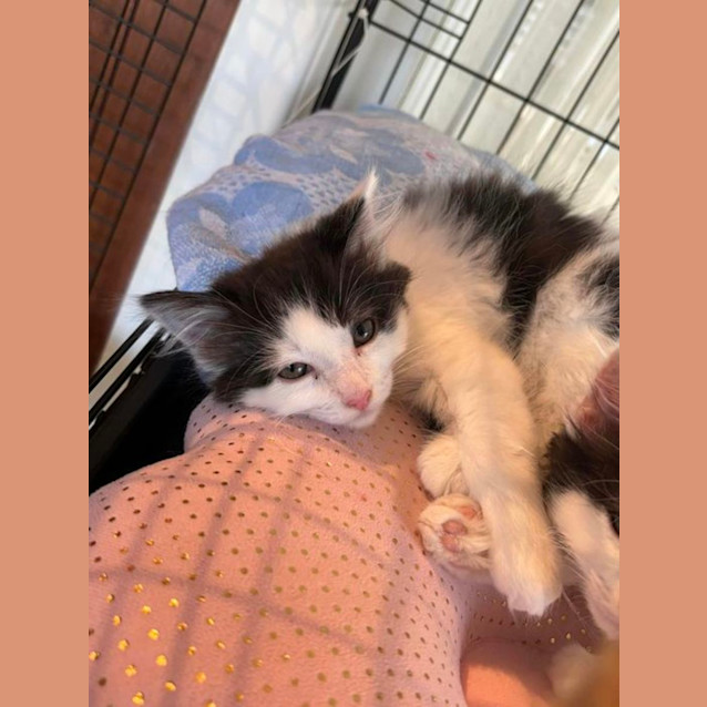 Photo of Wednesday