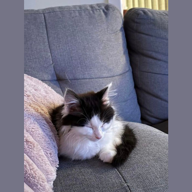 Photo of Wednesday