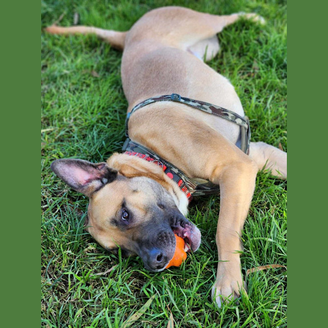 Photo of 🤠 Dusty 5095 🤠