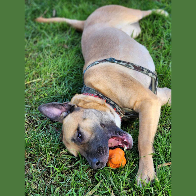 Photo of 🤠 Dusty 5095 🤠