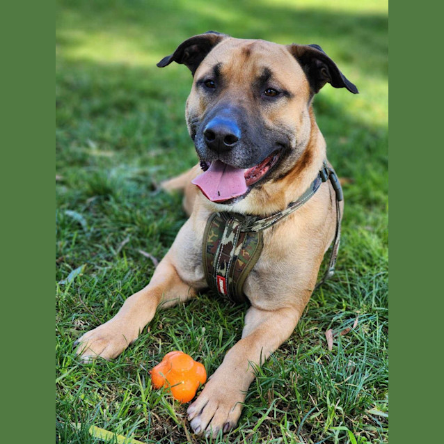 Photo of 🤠 Dusty 5095 🤠