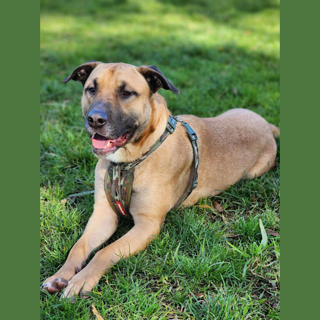 Photo of 🤠 Dusty 5095 🤠