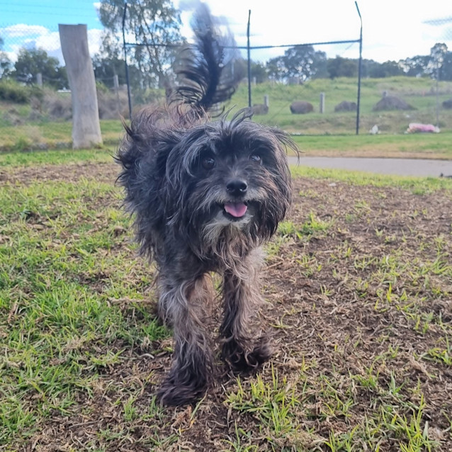 Photo of Betty 