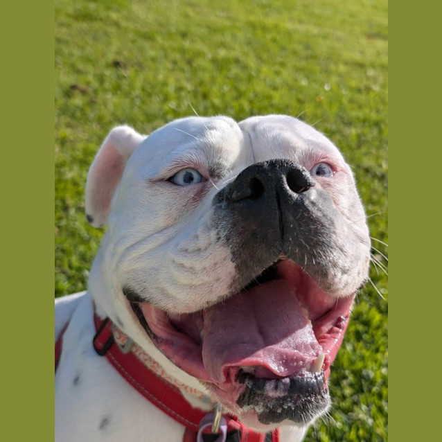 Photo of Stella 💎