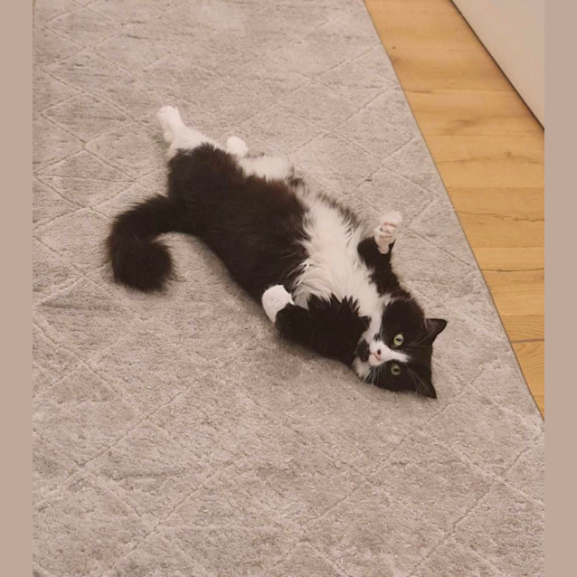 Photo of Walter And Jinx