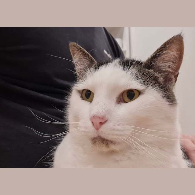 Photo of Walter And Jinx