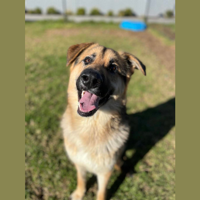 Photo of Milo