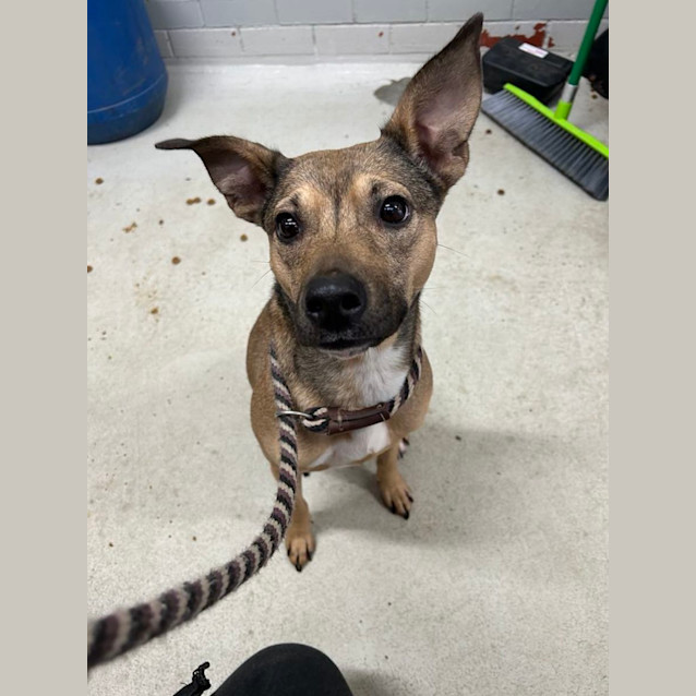 Photo of Penny