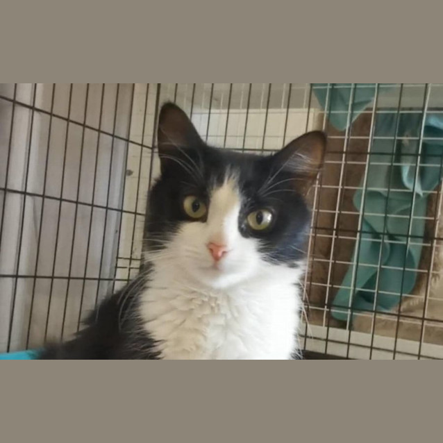 Photo of Mavis Meet Me @Petstock Chelsea Store 