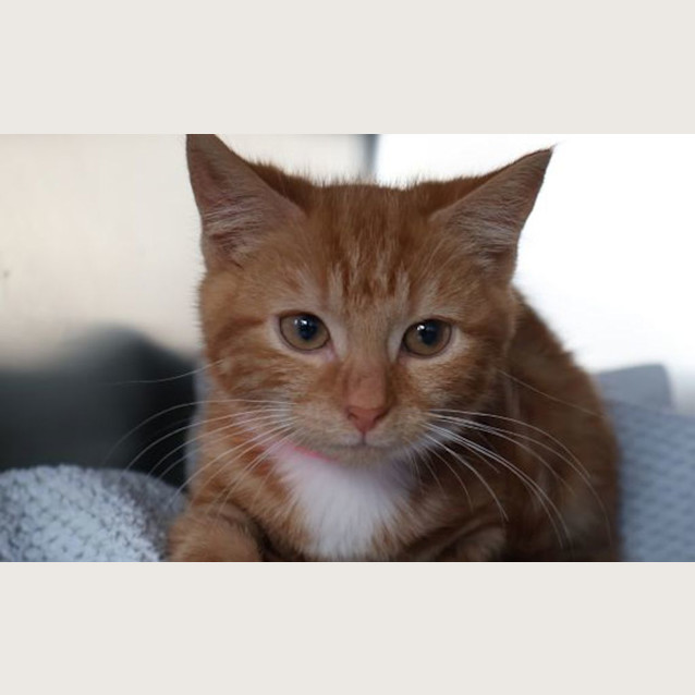 Photo of Miss Meeko