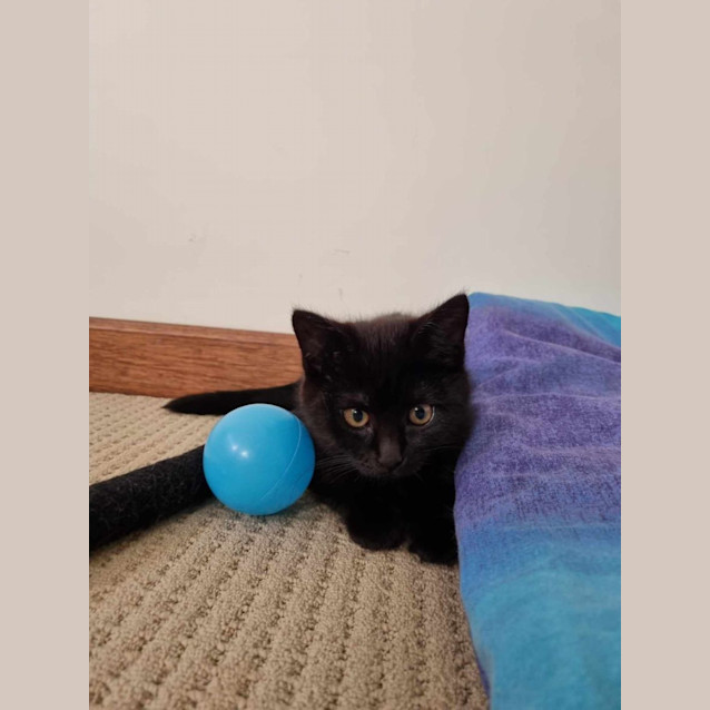 Photo of Holly And Miley