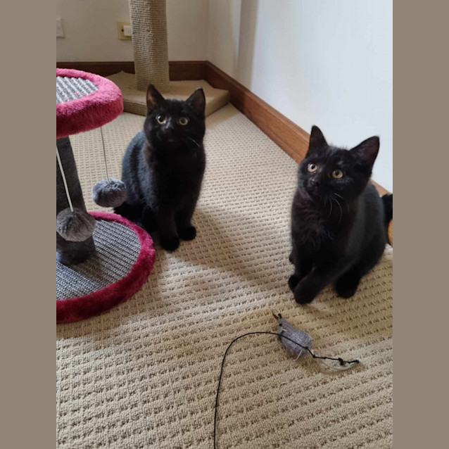 Photo of Holly And Miley