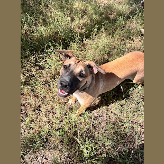 Photo of Lula (Tk5)