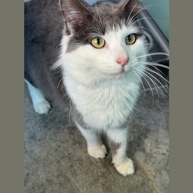 Photo of Percy