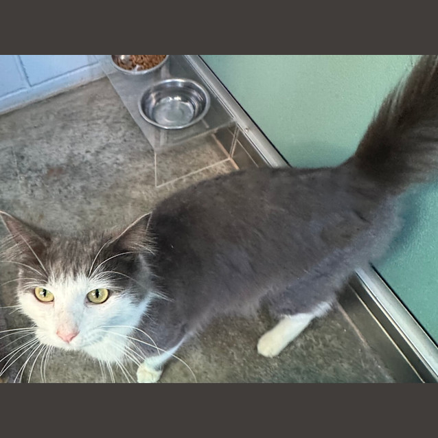 Photo of Percy