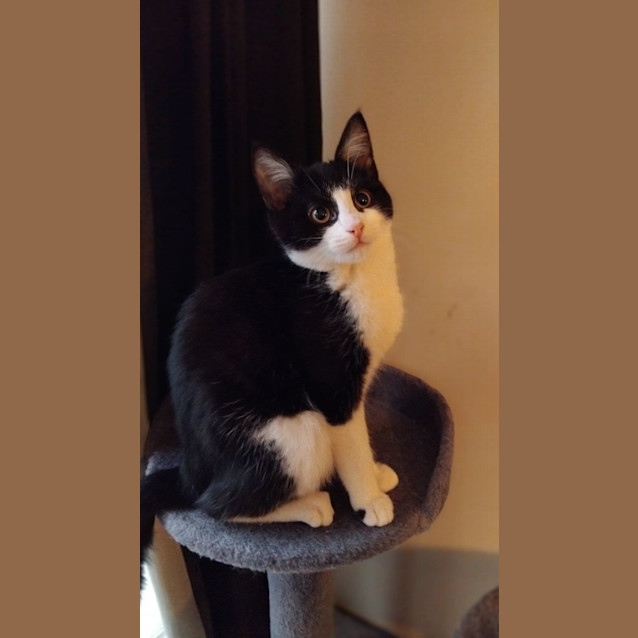 Photo of Trevor