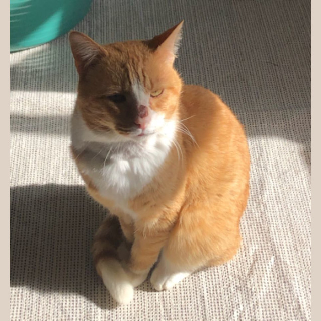 Photo of Rye Guy