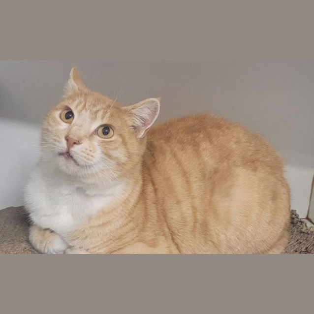 Photo of Sandy