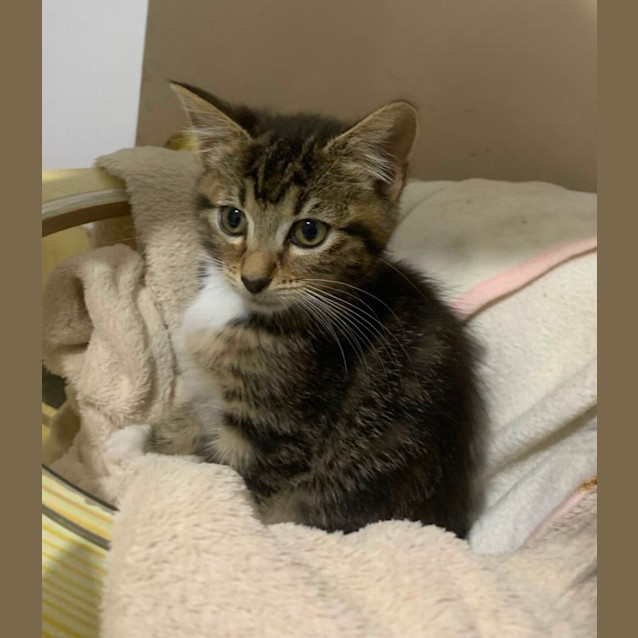 Photo of Tessa🩷😽