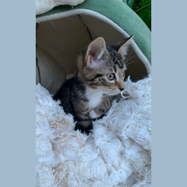 Photo of Tessa🩷😽