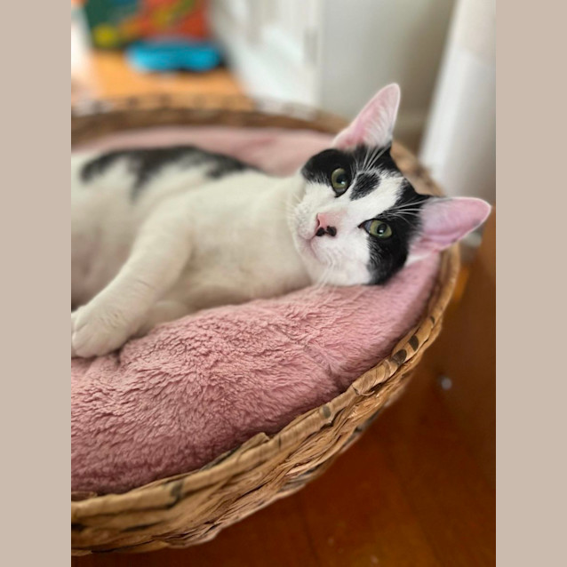 Photo of Phillip   Located In Preston