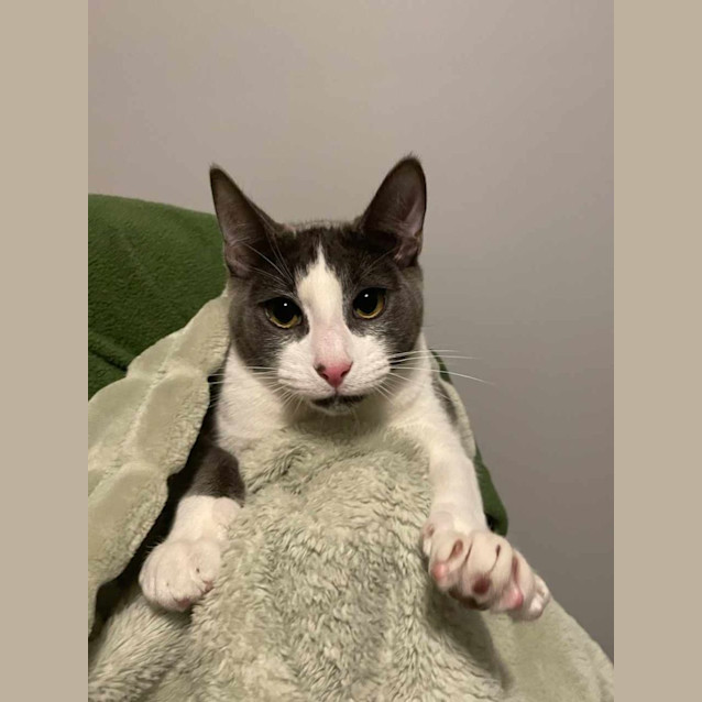 Photo of Jake   Located In Eltham North