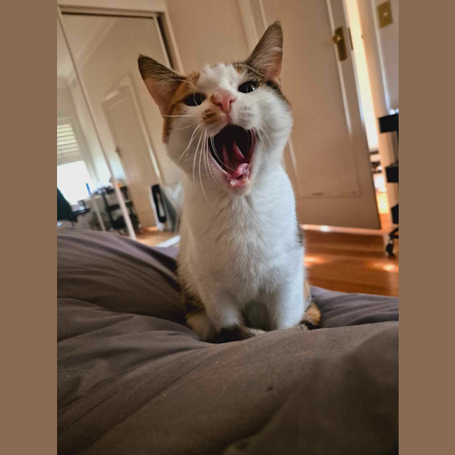 Photo of Doc