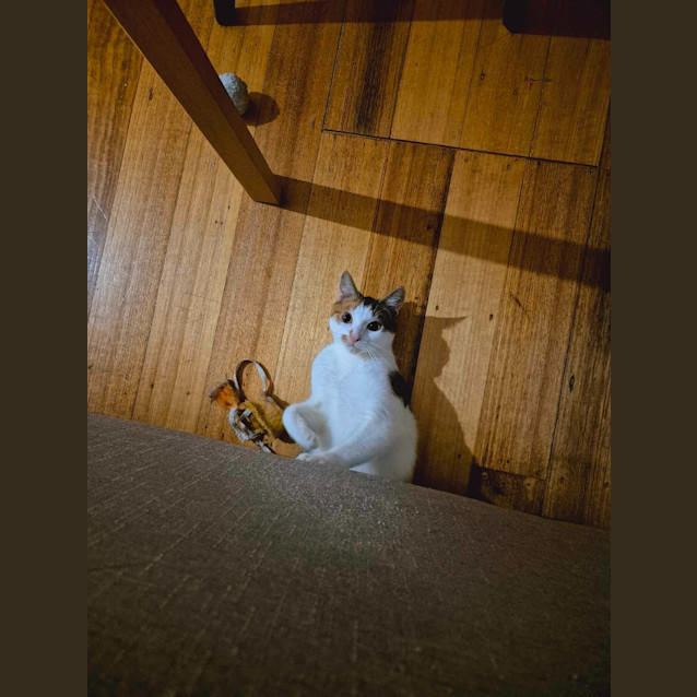 Photo of Doc