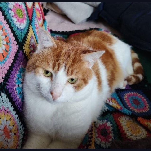 Photo of Mingus
