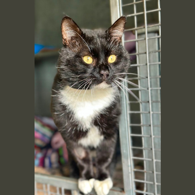 Photo of Lucky 